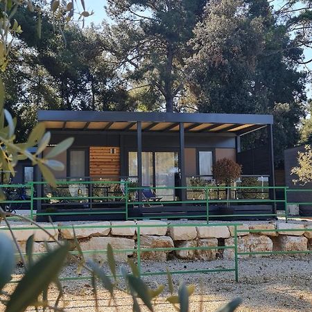 Luxury Mobile Homes Ivaci Ровинь Экстерьер фото